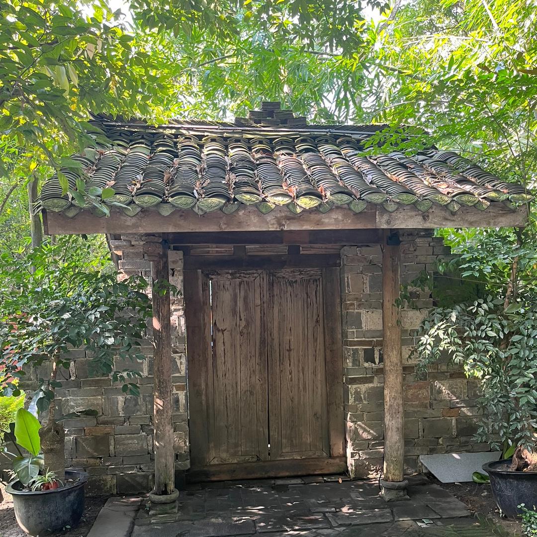 仙茅米粑-李小波