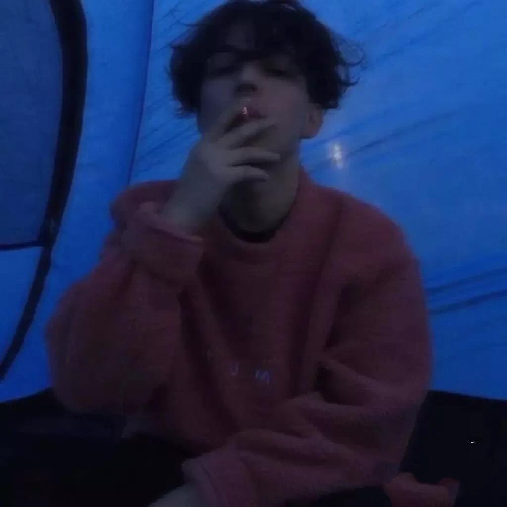 白熊（AAA三角洲天才少年批发）