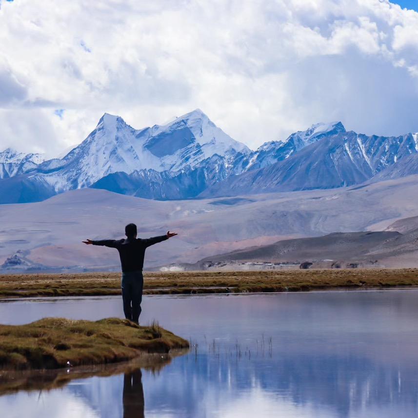 松阳志雅茶叶有限公司