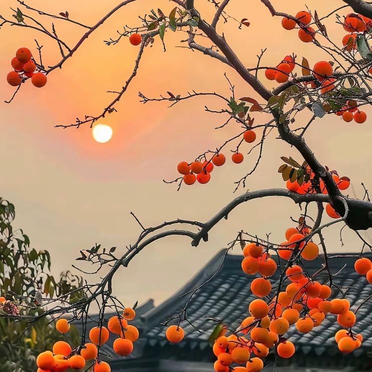 星辰大海