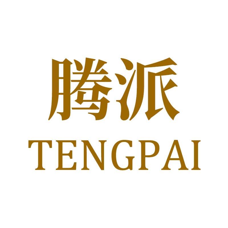 腾派官方旗舰店