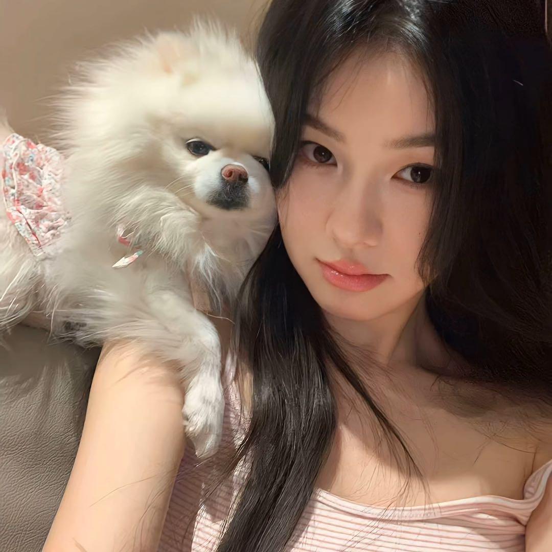 不吃香菜