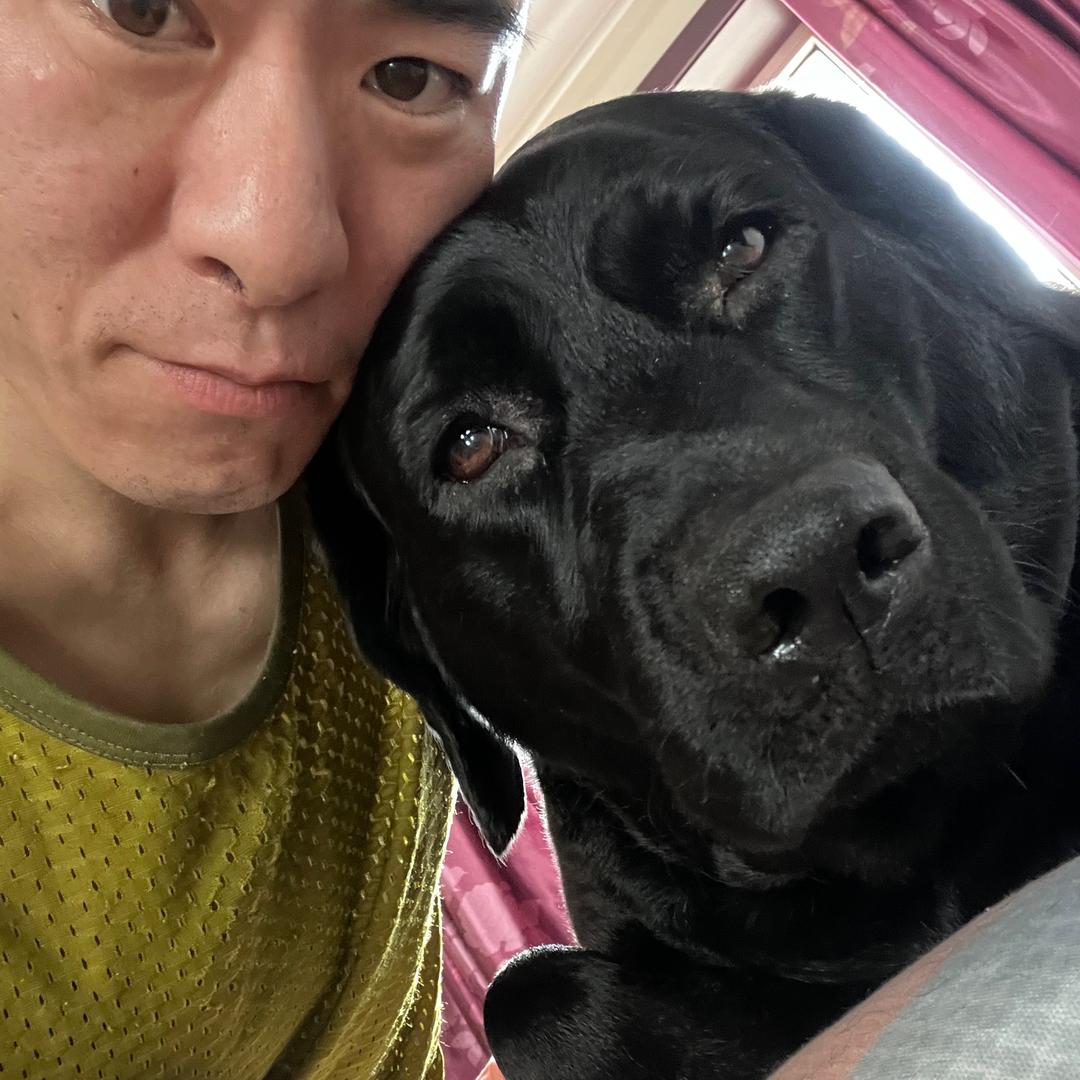 从此，无少年