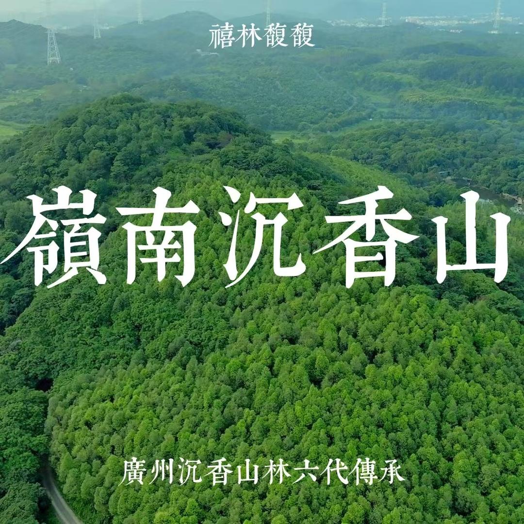 禧林馥馥®️沉香精油