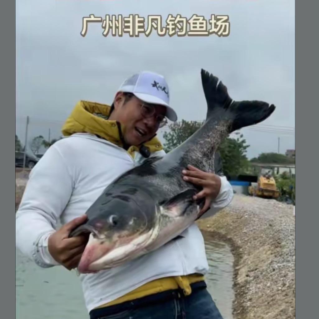 非凡钓场底钓小武哥擒鳙