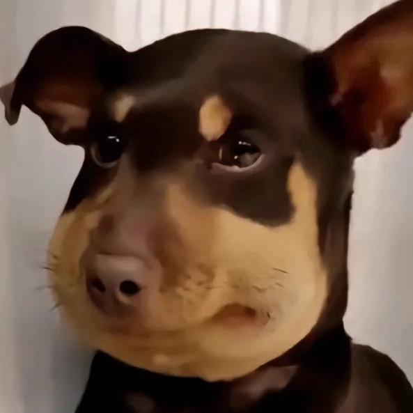 一个破卖娃娃的