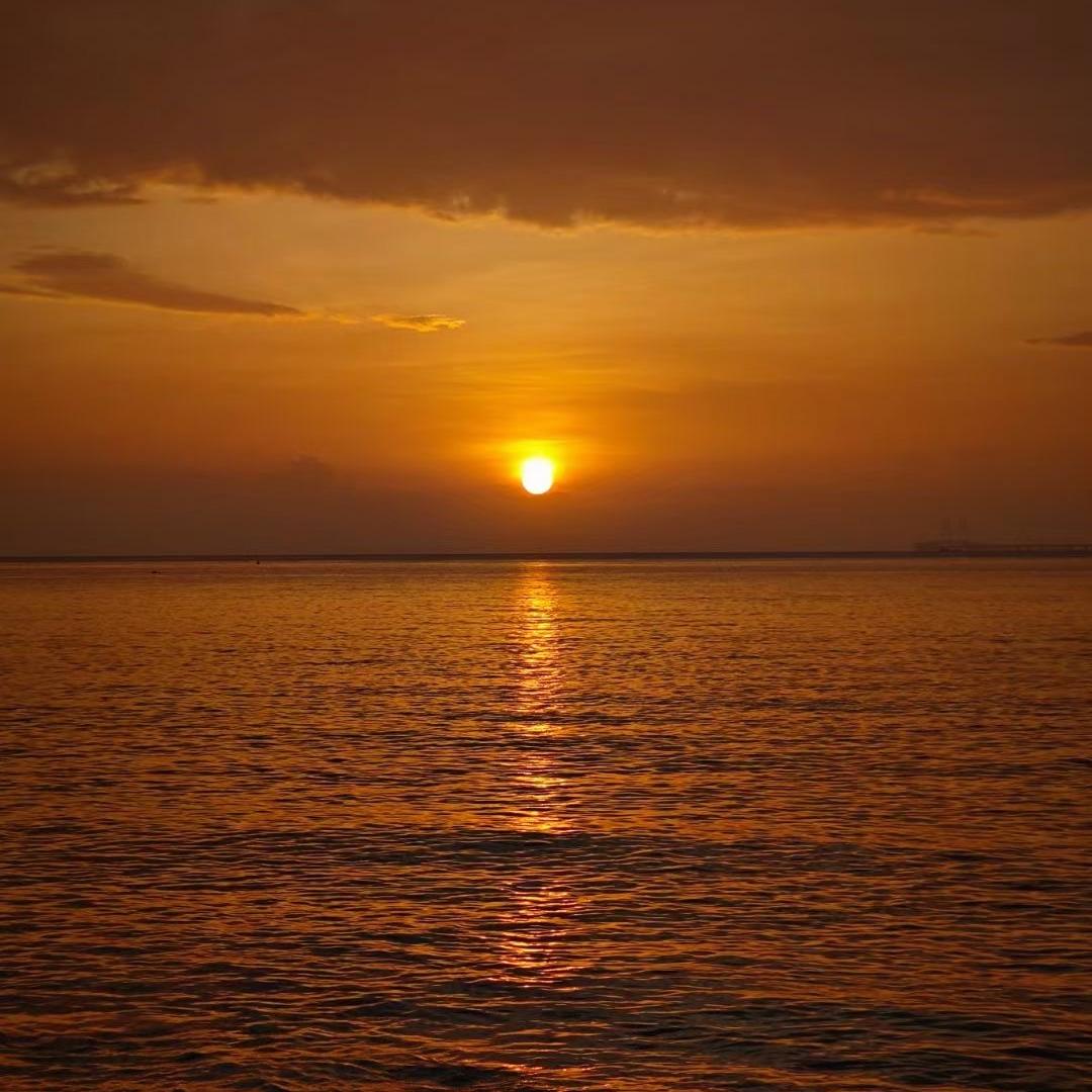 神农稔莳源网络科技