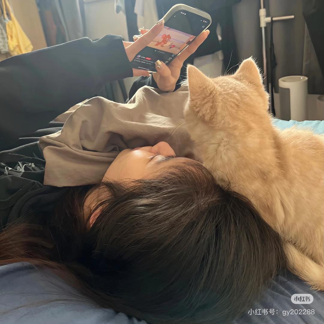 太阳味小赵