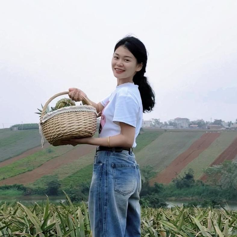 菠萝不是凤梨