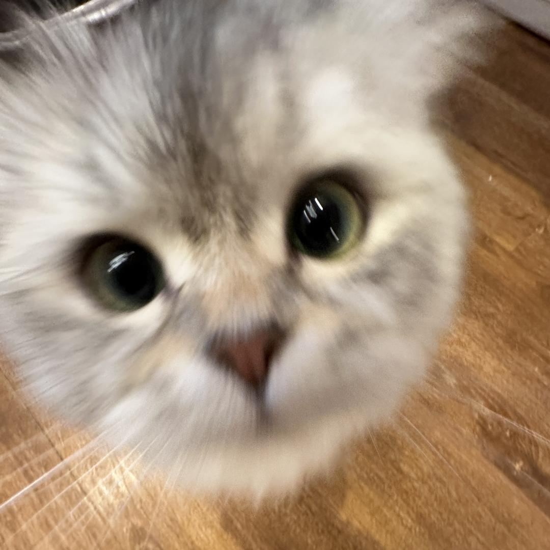 七月布冻