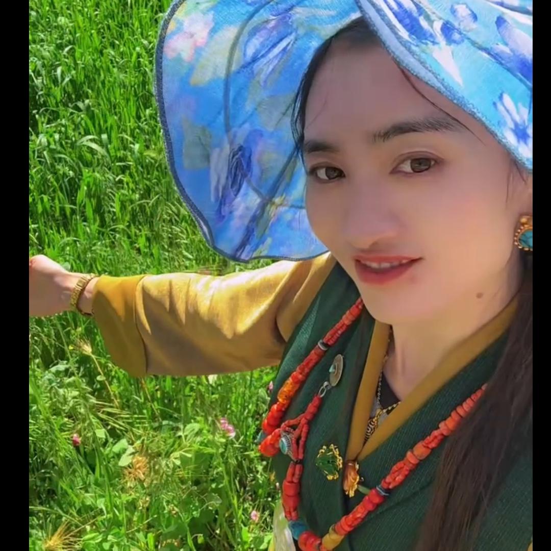 西藏姑娘