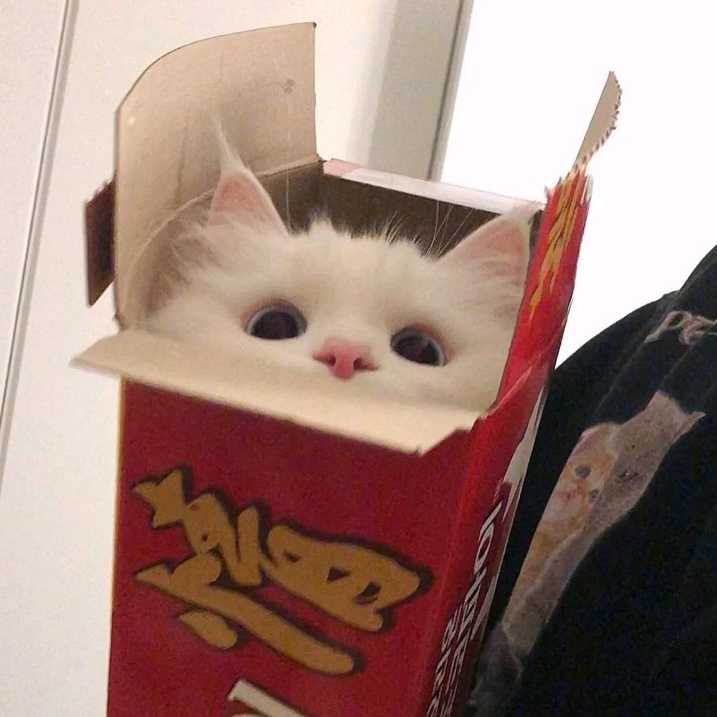 差点长成帅哥。