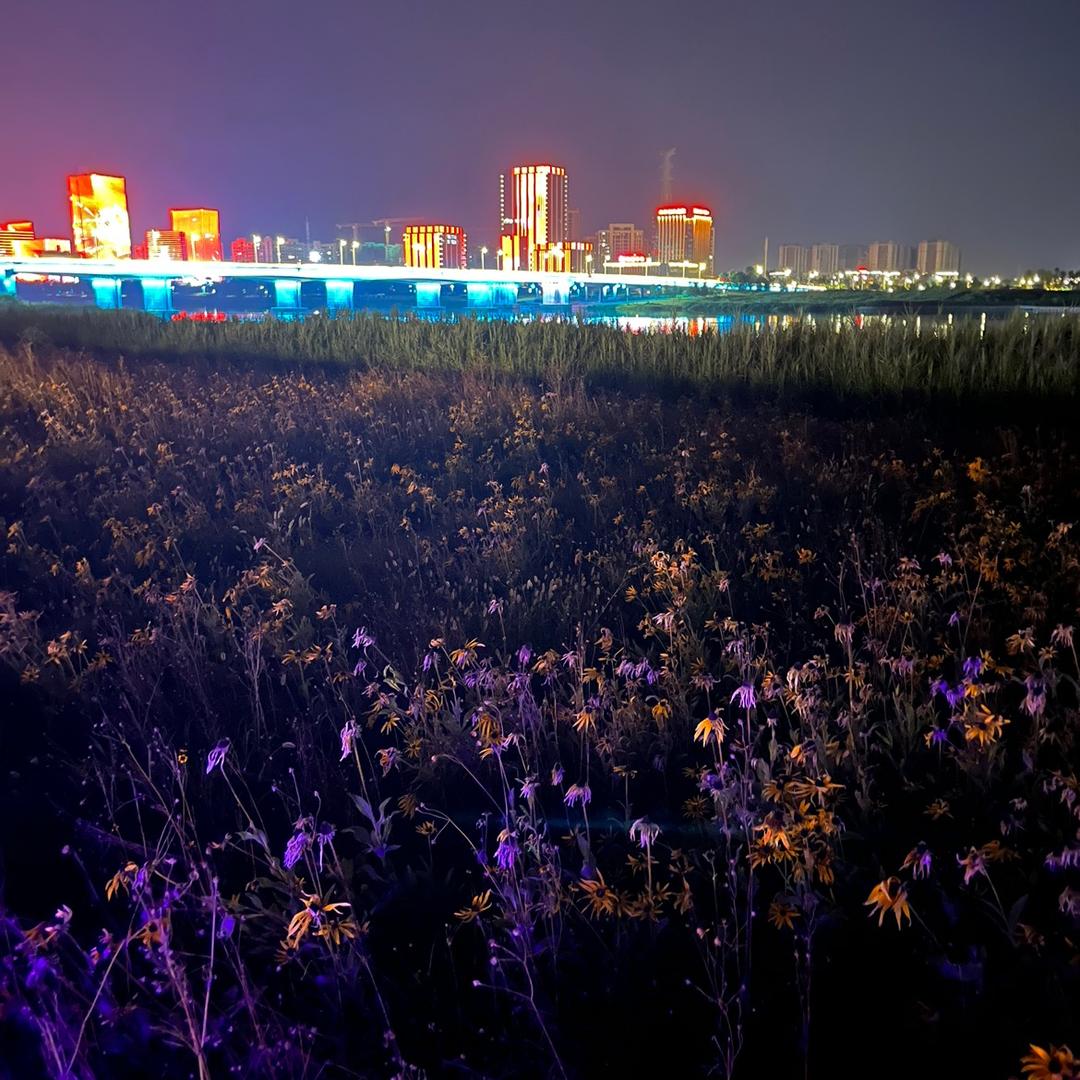 小乔榴莲芝士饼临山店