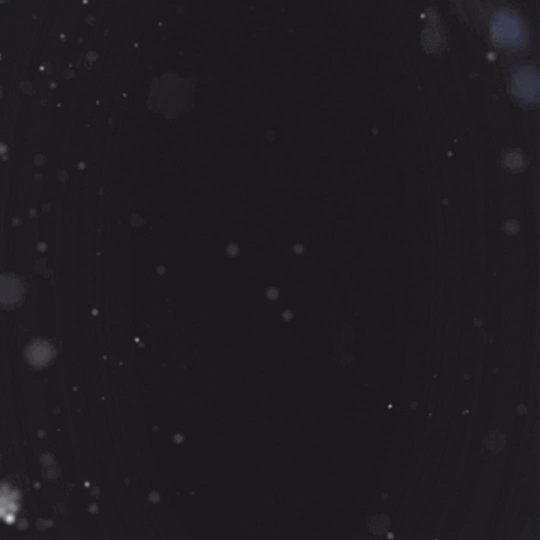 日记