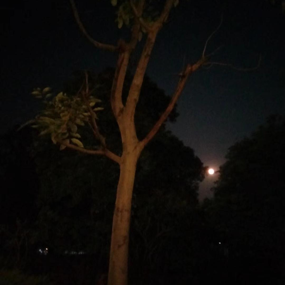 恒瑞鱼苗养殖场