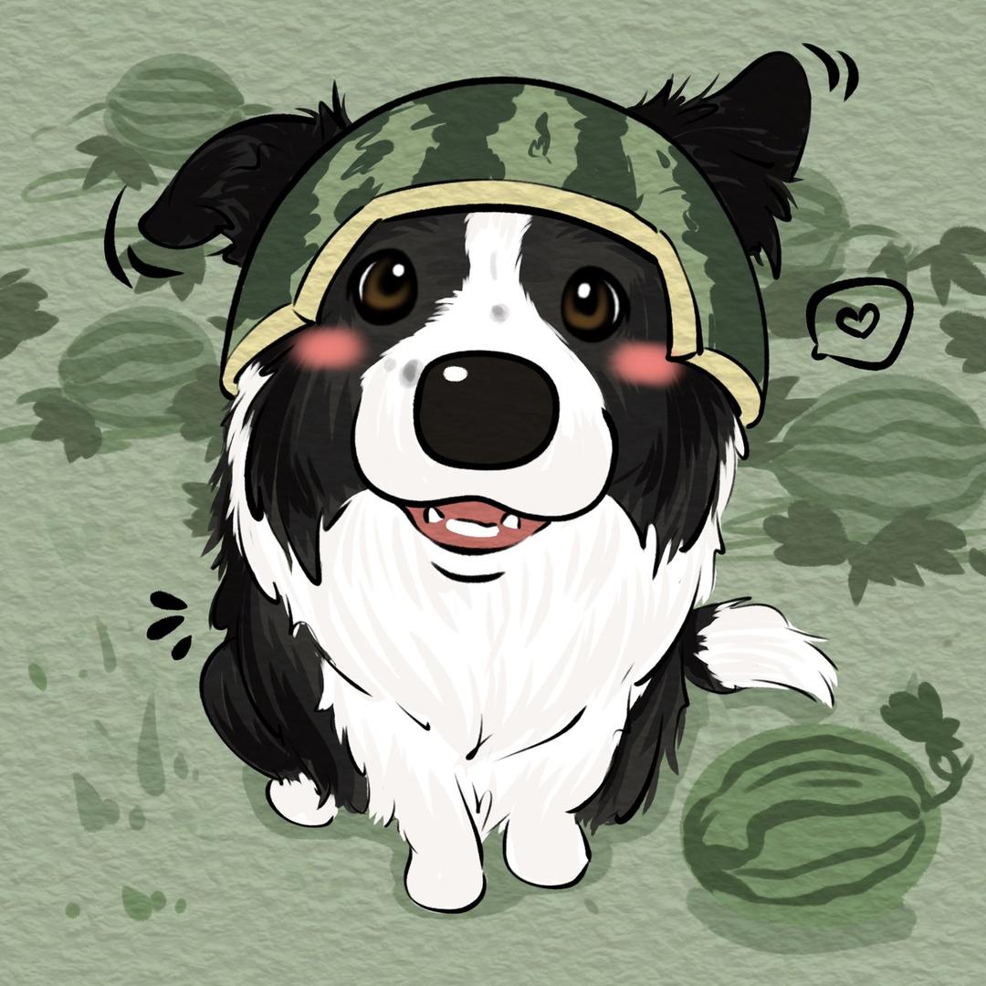 边牧HAPPY