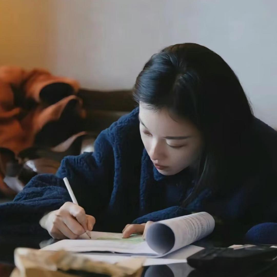 璞.