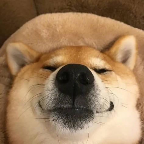 豁子🧙🏾‍♂️