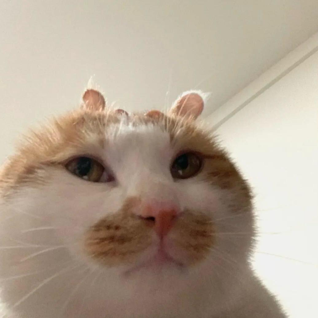 满满