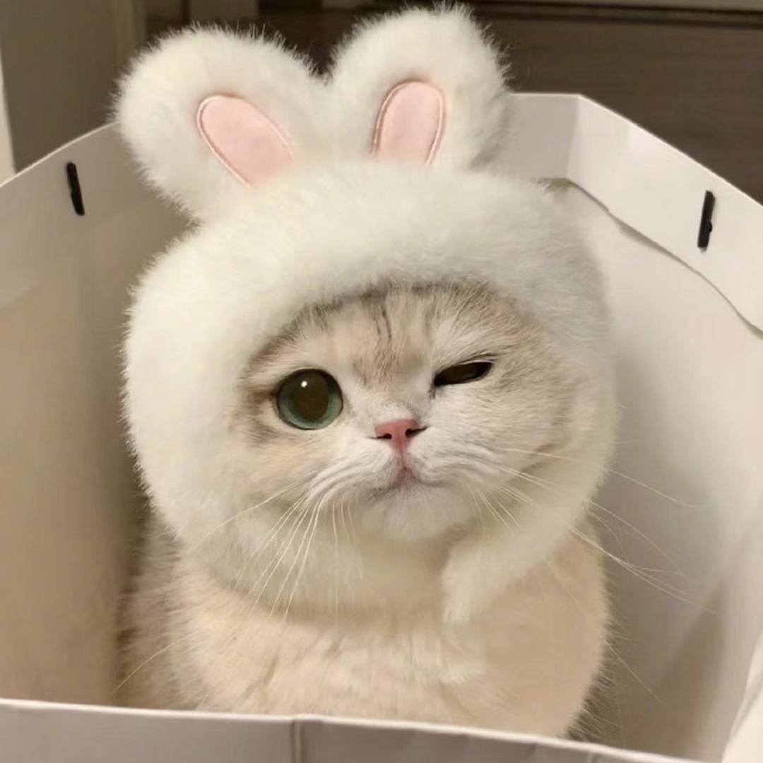 小桃兔兔