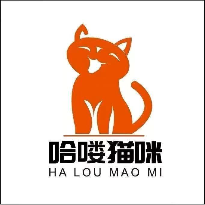 长沙哈喽猫咪