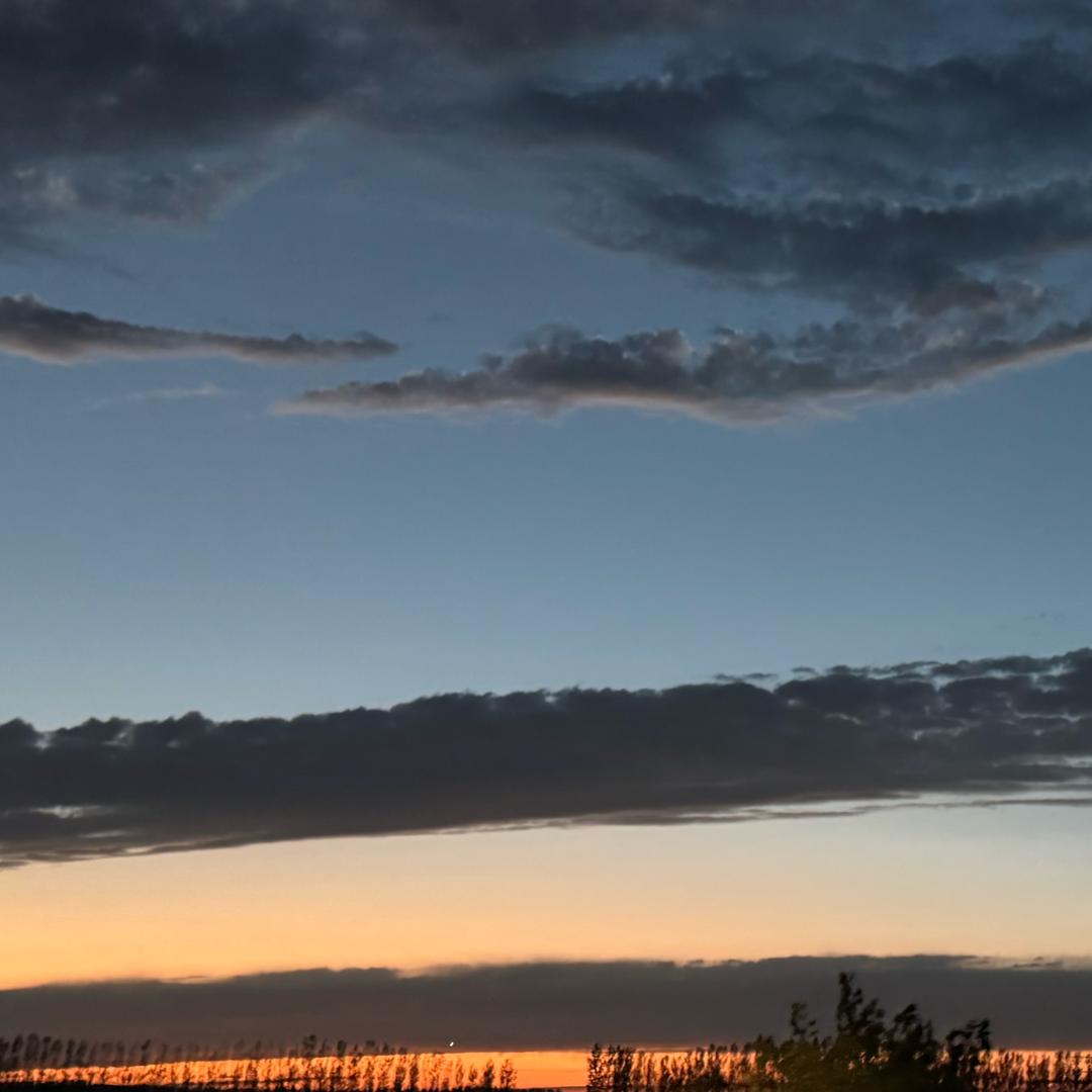 加鸡腿长大个儿