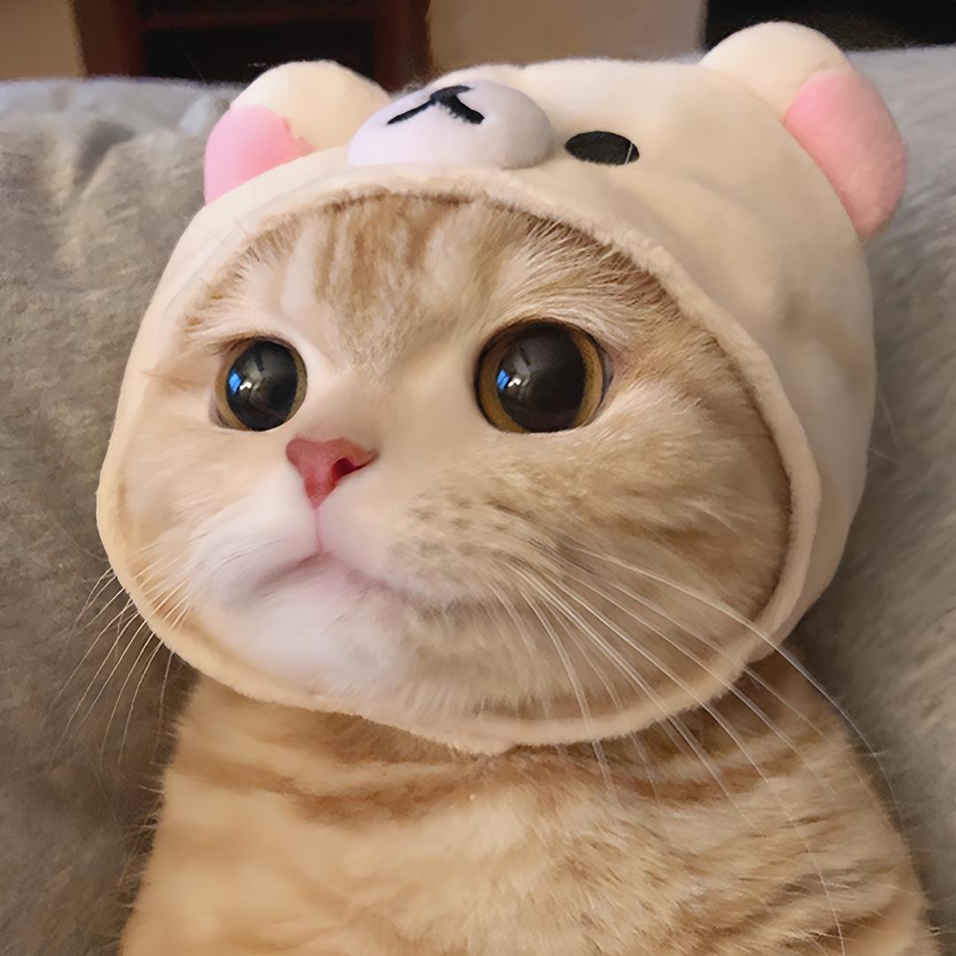 猫猫益智玩具屋