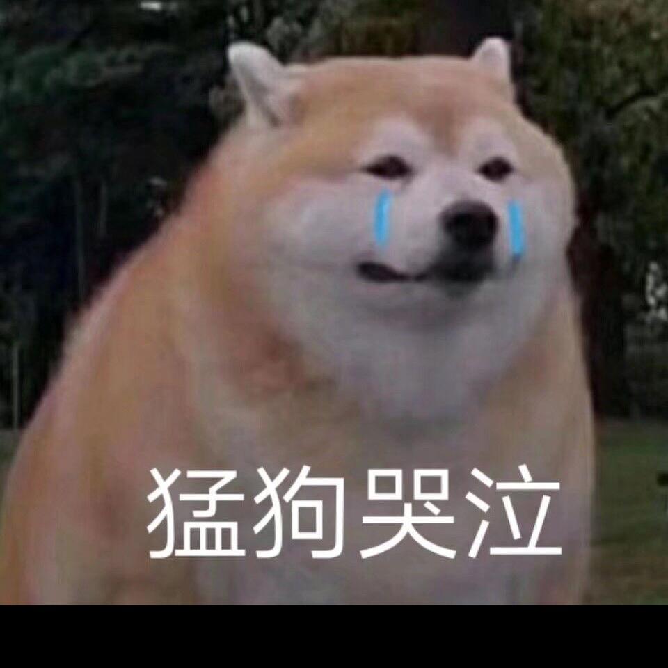 张无限