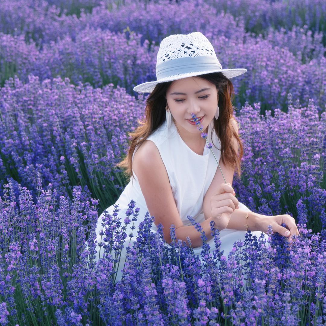 菲比—Phoebe