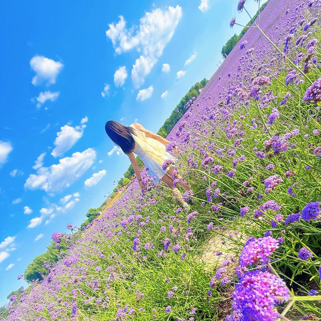 ღ᭄ℒℴѵℯ瑜伽ღ