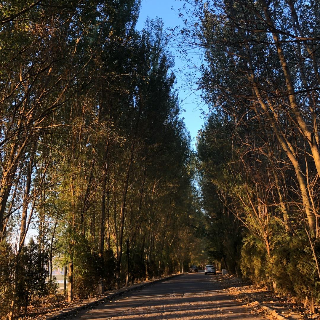 300KM