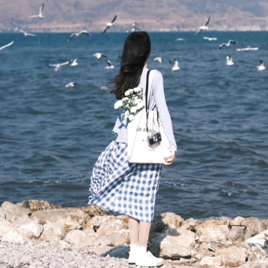 芸枫教剪辑