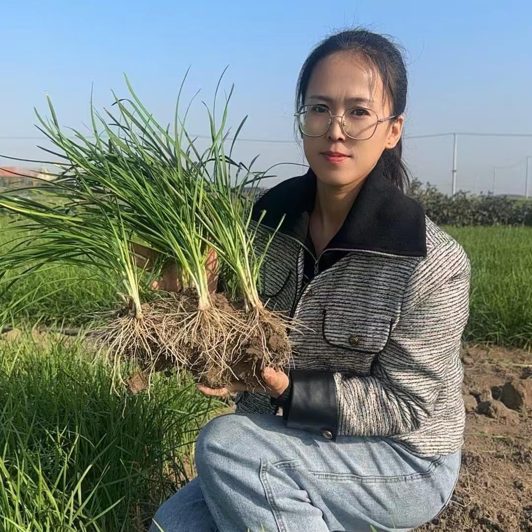 园艺生活