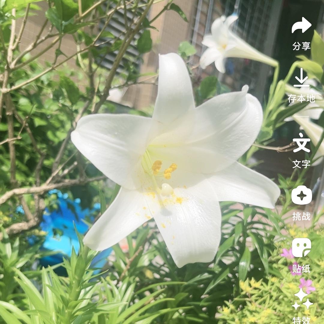 小阿宝…