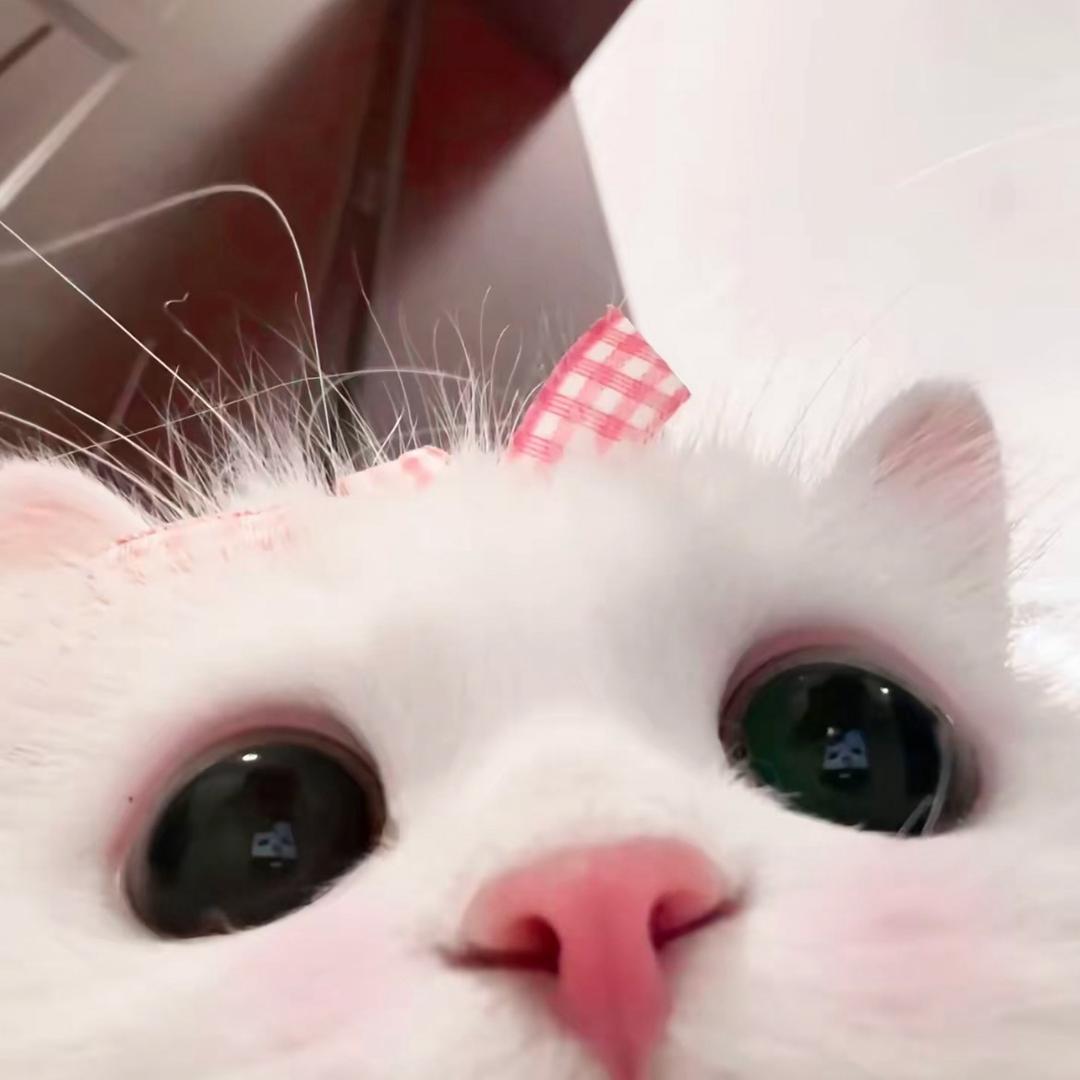 莓烦恼