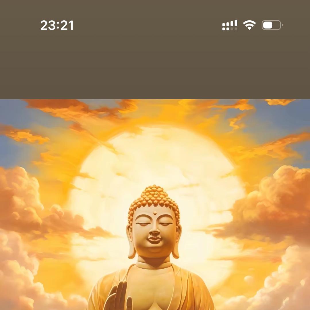 闪德林优品