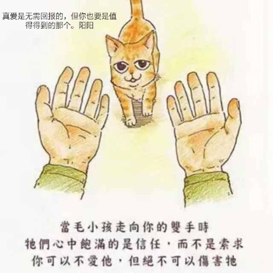 用感恩的心看世界，小阳