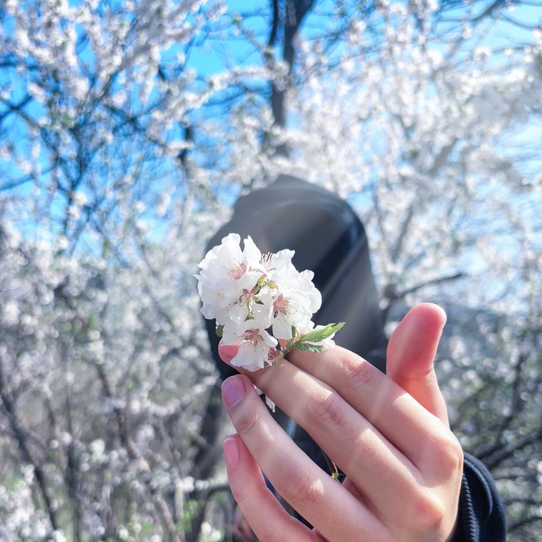 J^O^Y🍊