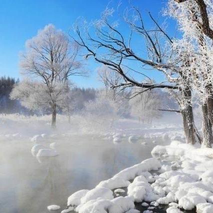 一生一世一雪花