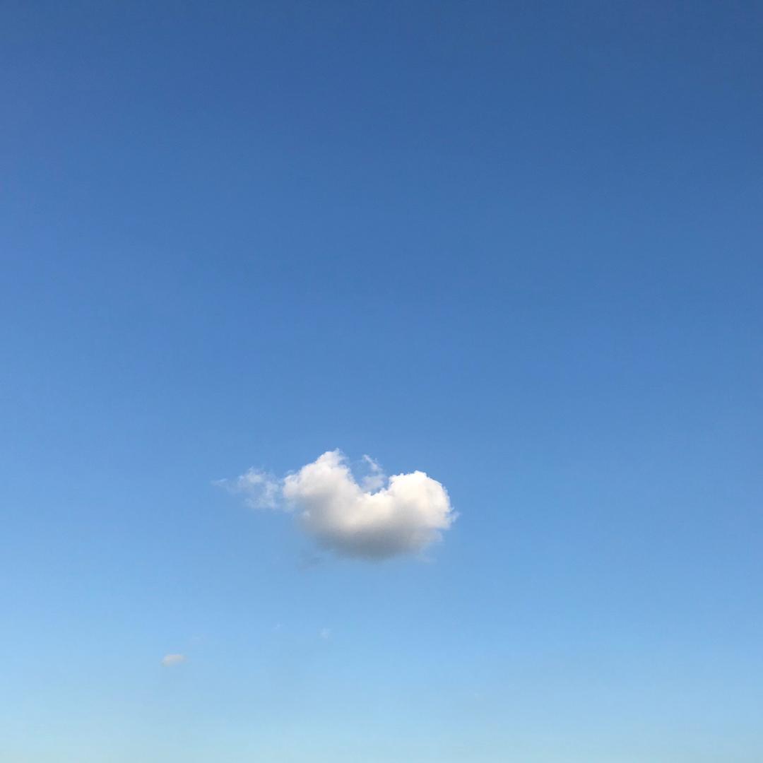 阿哝侬