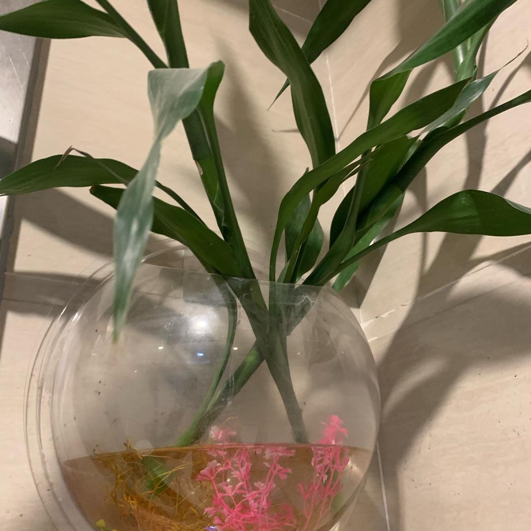 读你