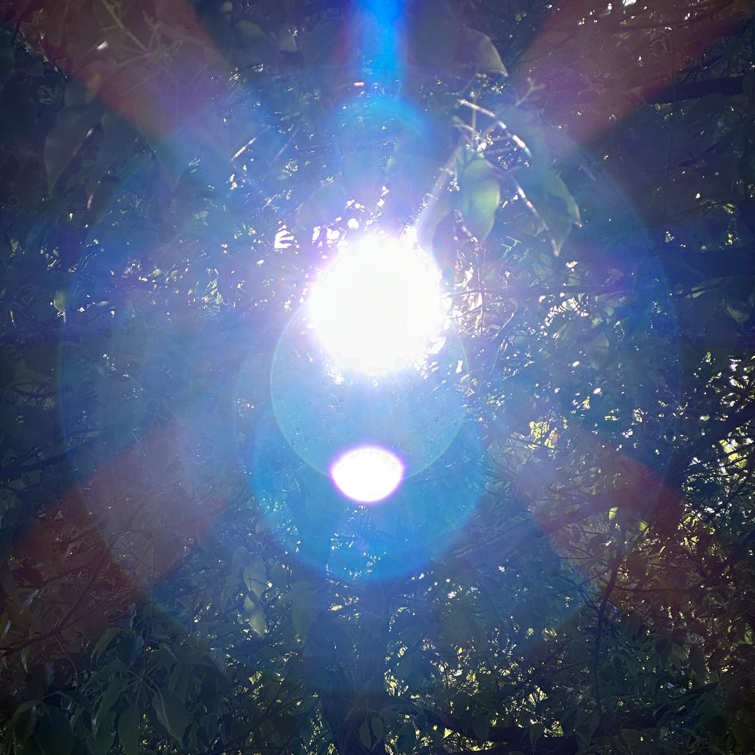 Sunshine_