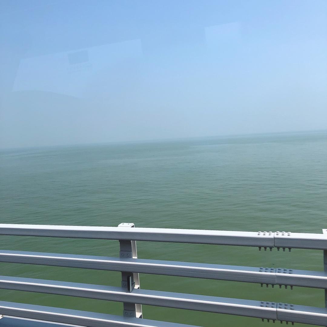 小绵阳