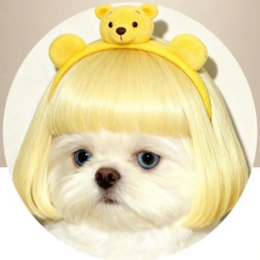 🐾社恐的小美🐾