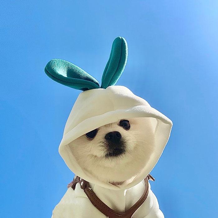 贰八                 ༽