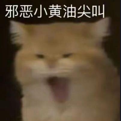 椰子水-