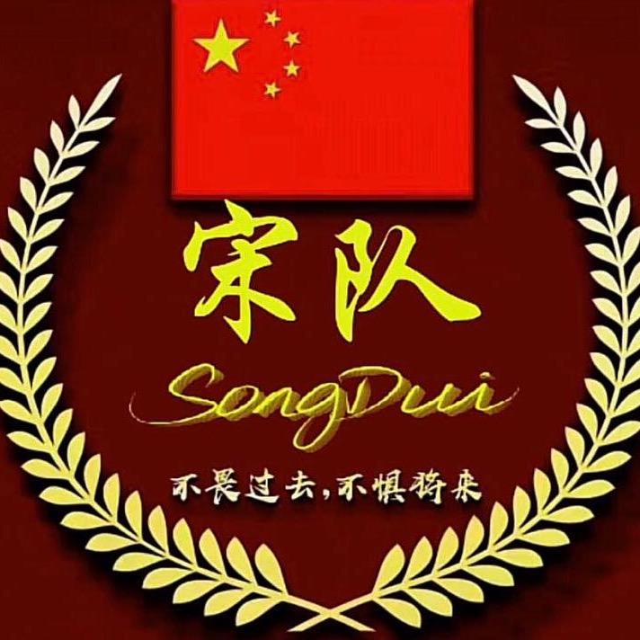 宋   队🇨🇳
