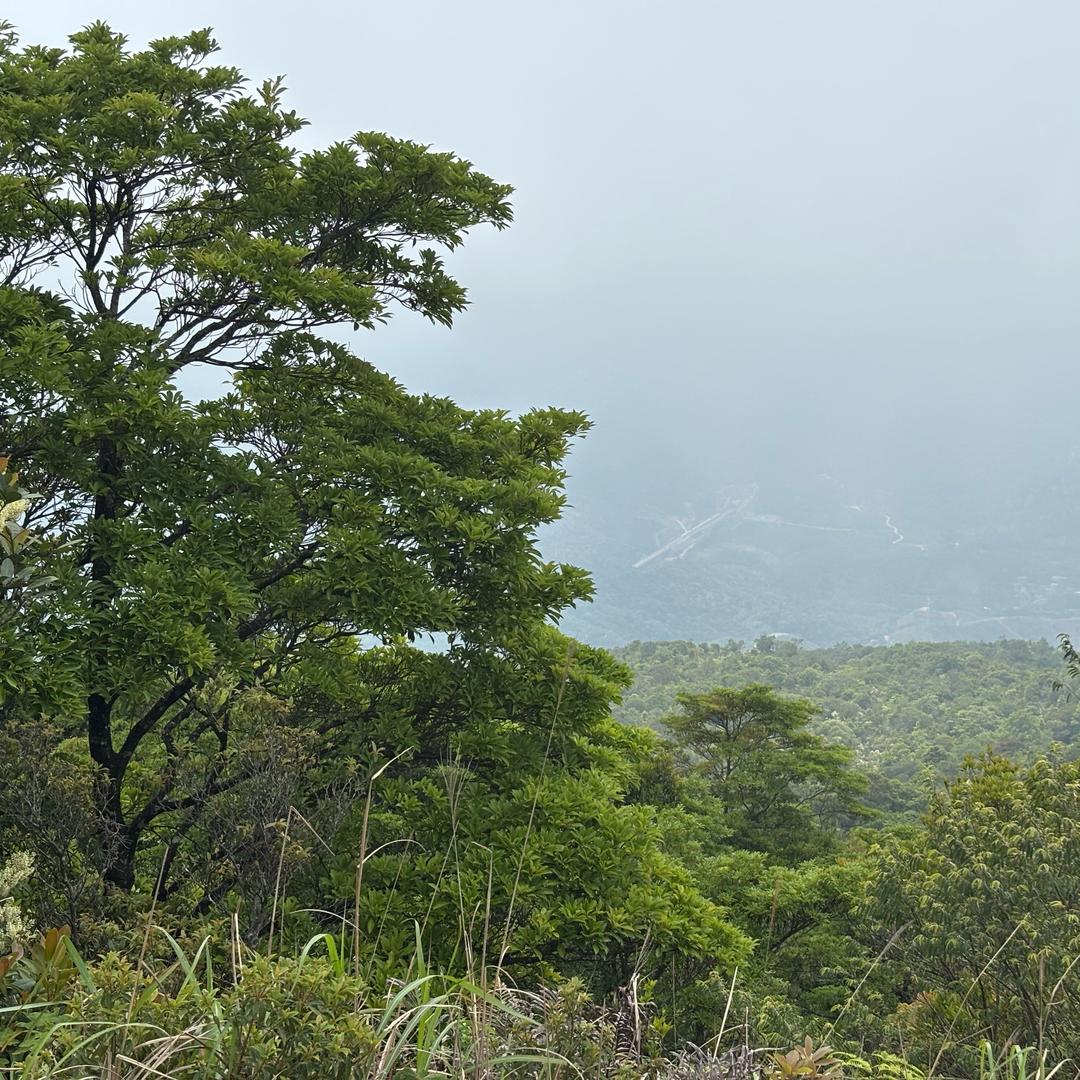 绿水青山