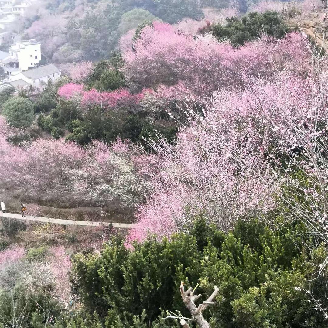 岁月静好