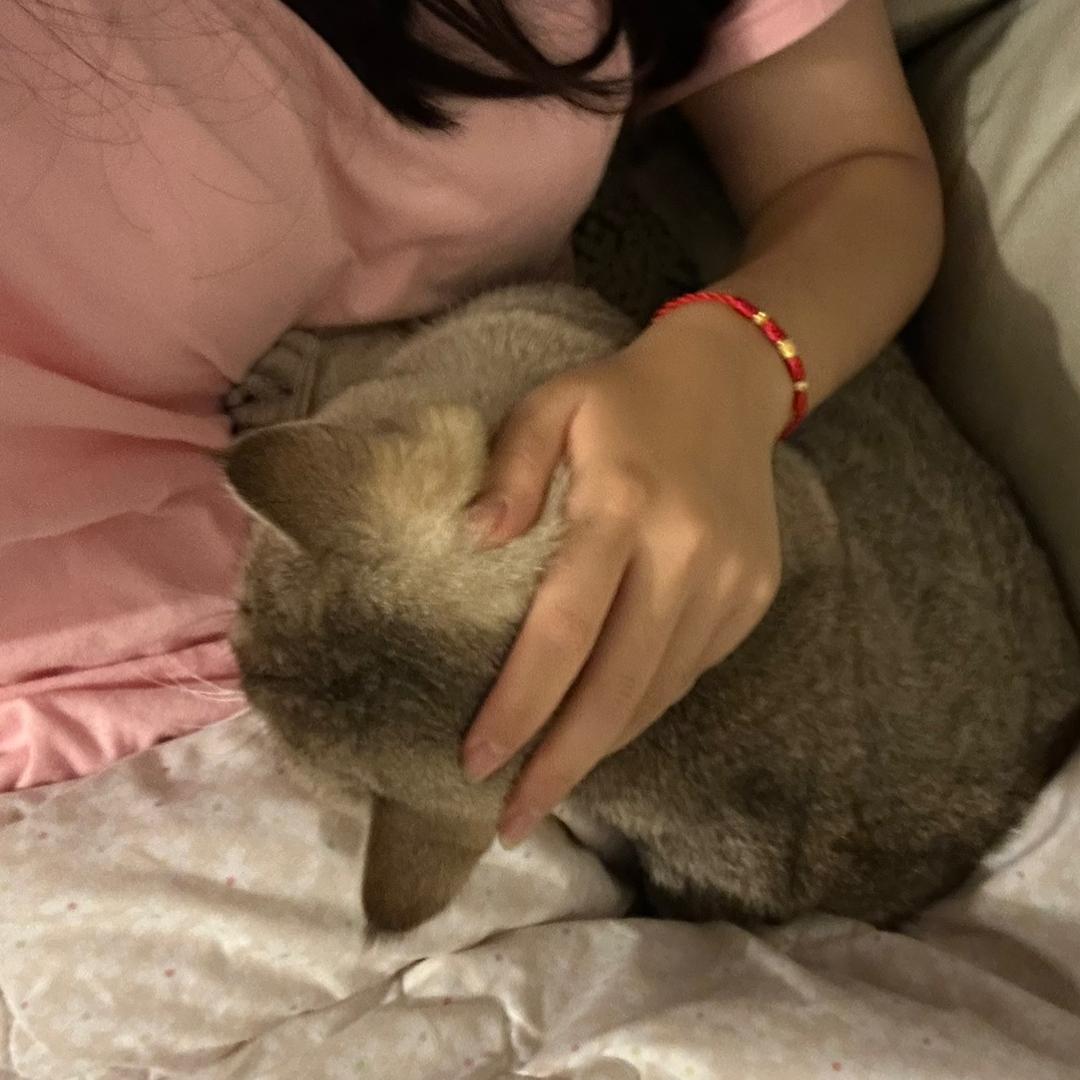 钦-Evan